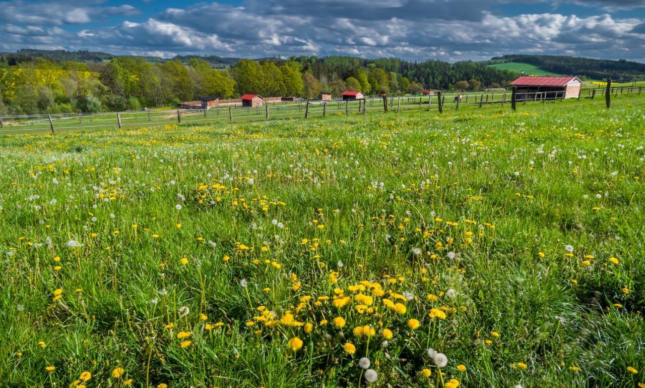 Ranch Jestrebice Hotell Hermanicky Eksteriør bilde