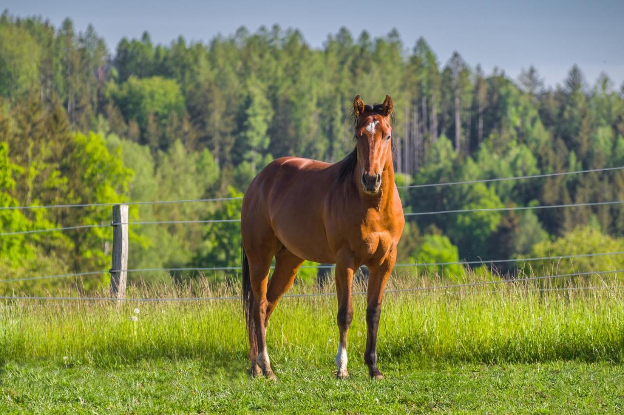 Ranch Jestrebice Hotell Hermanicky Eksteriør bilde