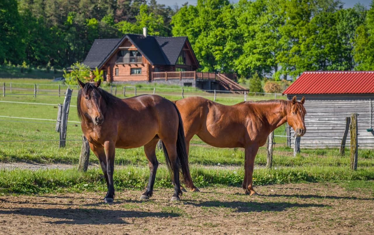 Ranch Jestrebice Hotell Hermanicky Eksteriør bilde